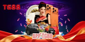 App TG88