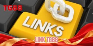Link TG88