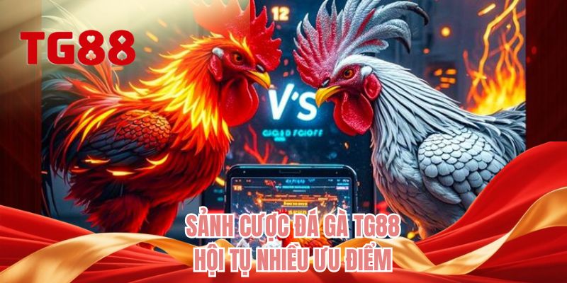 Sảnh cược đá gà TG88 hội tụ nhiều ưu điểm 