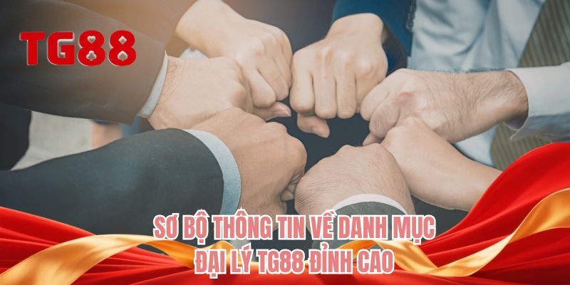 Sơ bộ thông tin về danh mục đại lý TG88 đỉnh cao
